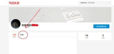 头条在哪里查看收藏,轻松掌握精彩资讯